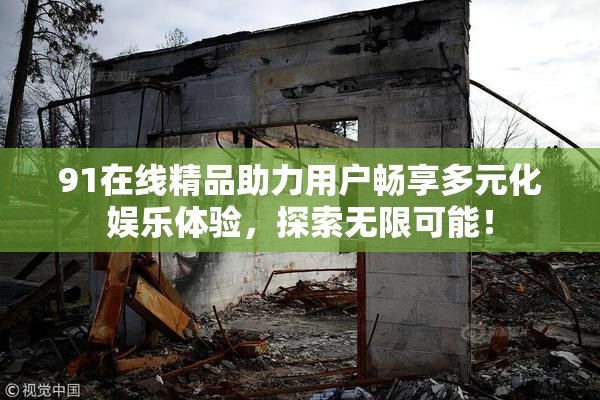 91在线精品助力用户畅享多元化娱乐体验，探索无限可能！