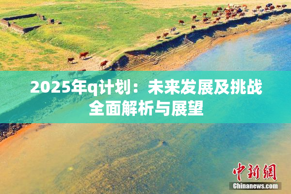 2025年q计划：未来发展及挑战全面解析与展望