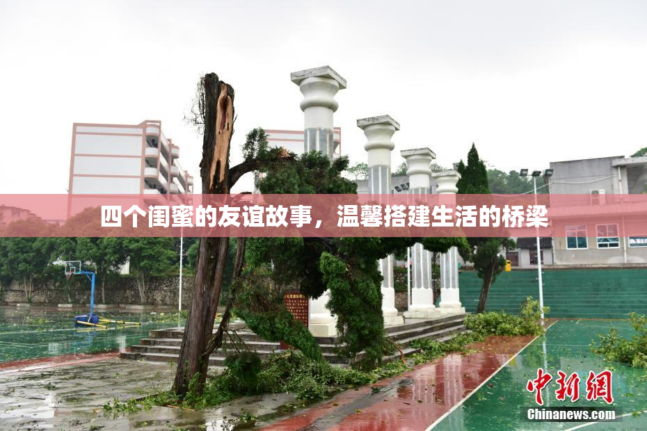 四个闺蜜的友谊故事，温馨搭建生活的桥梁