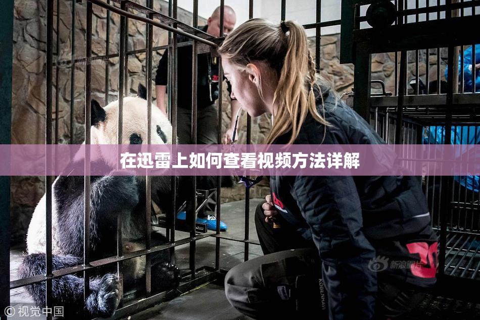 在迅雷上如何查看视频方法详解