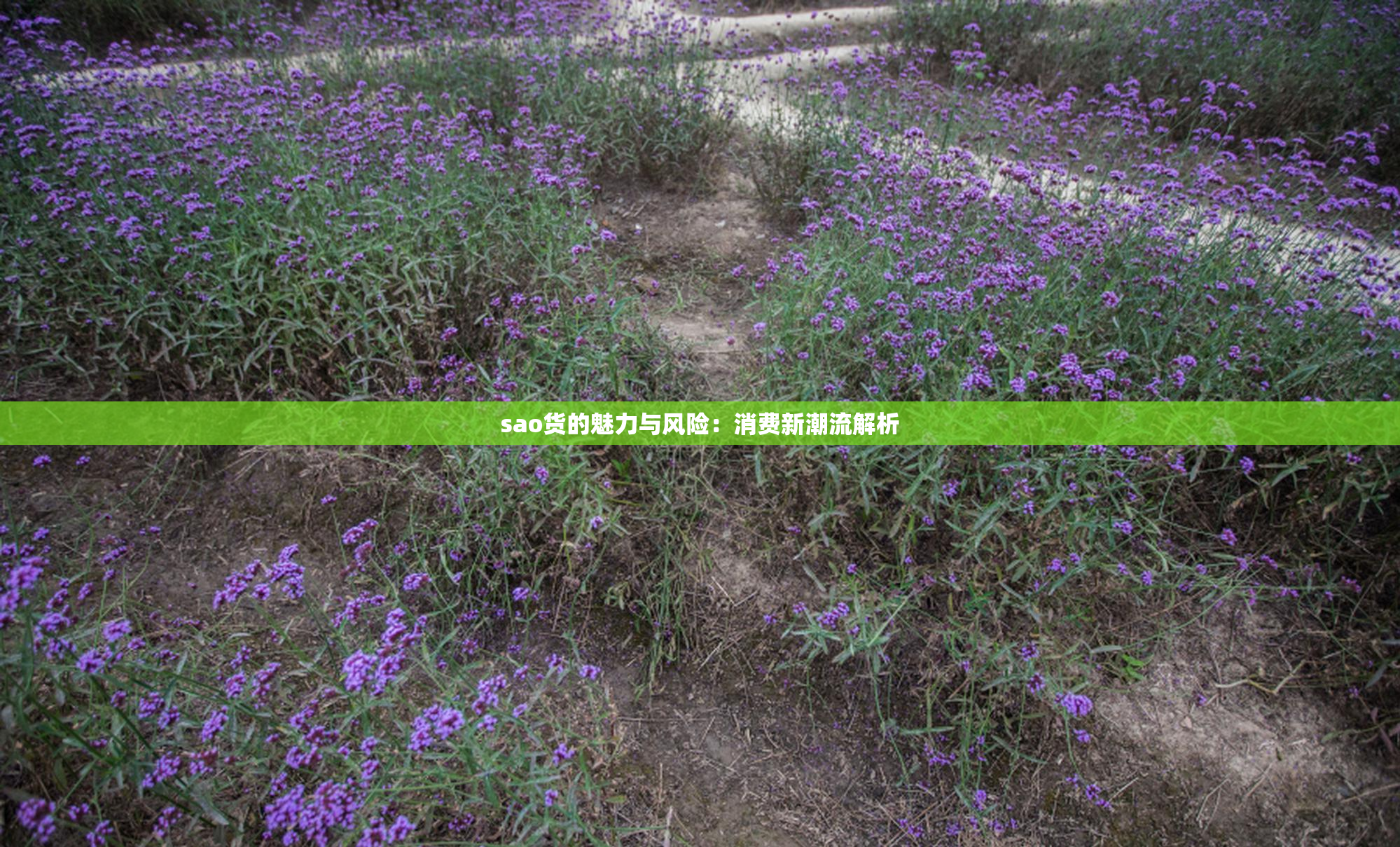 sao货的魅力与风险：消费新潮流解析
