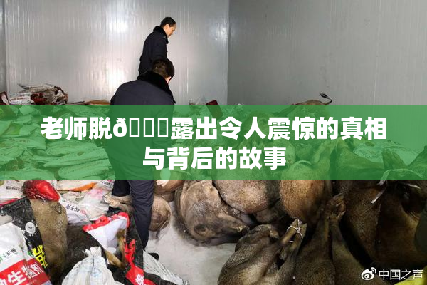 老师脱👙露出令人震惊的真相与背后的故事