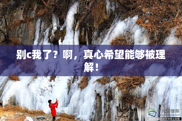 别c我了？啊，真心希望能够被理解！
