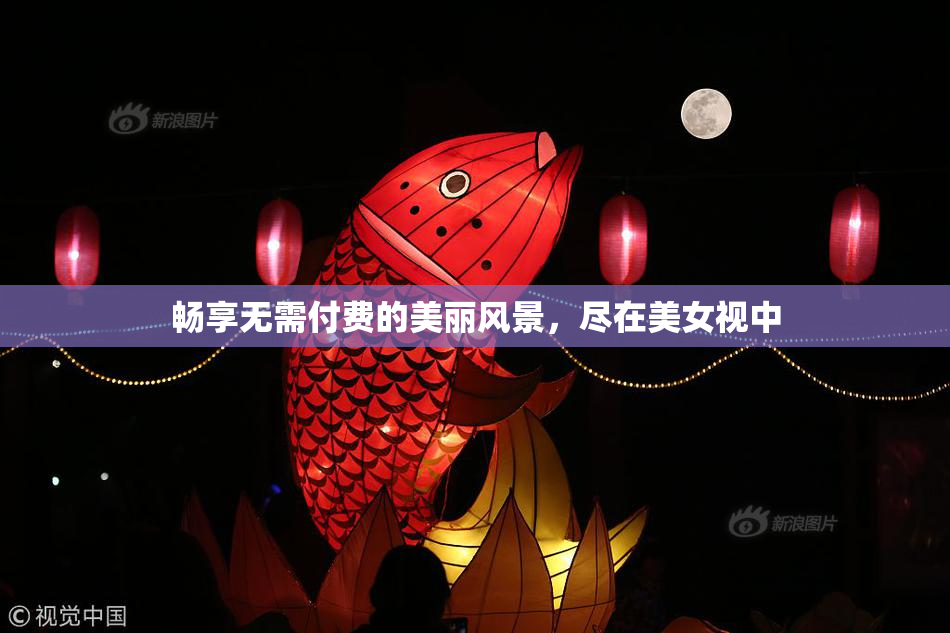 畅享无需付费的美丽风景，尽在美女视中