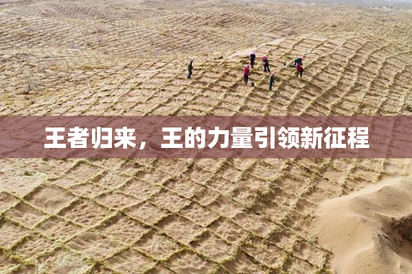 王者归来，王的力量引领新征程