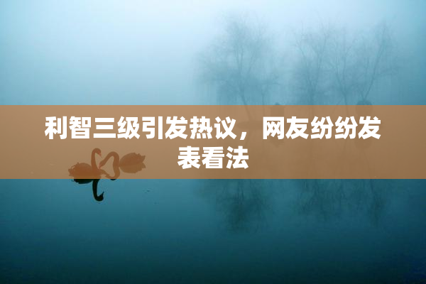 利智三级引发热议，网友纷纷发表看法
