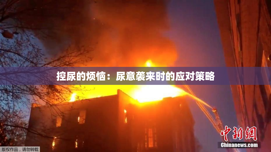控尿的烦恼：尿意袭来时的应对策略