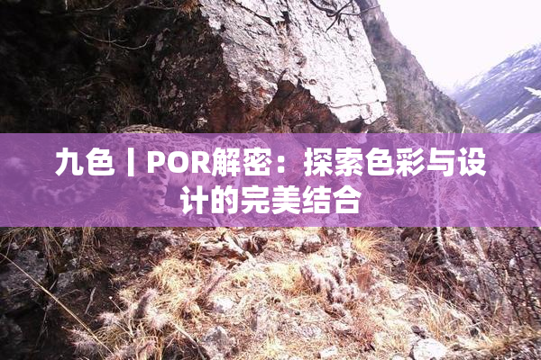 九色丨POR解密：探索色彩与设计的完美结合
