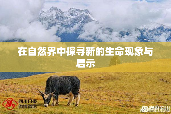 在自然界中探寻新的生命现象与启示