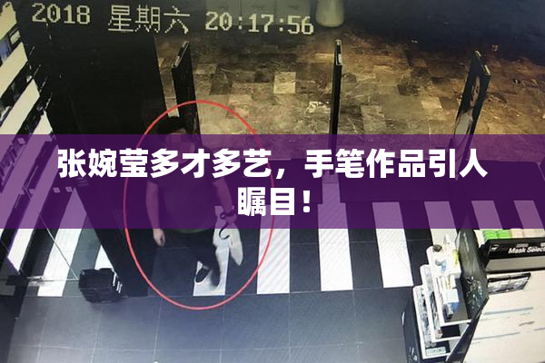 张婉莹多才多艺，手笔作品引人瞩目！