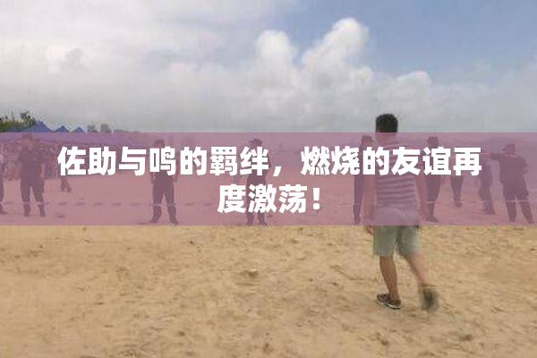佐助与鸣的羁绊，燃烧的友谊再度激荡！