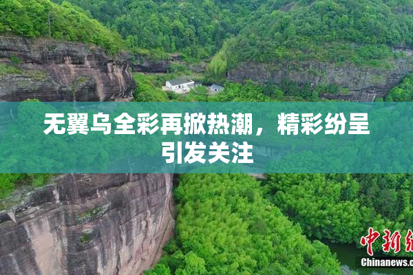 无翼乌全彩再掀热潮，精彩纷呈引发关注