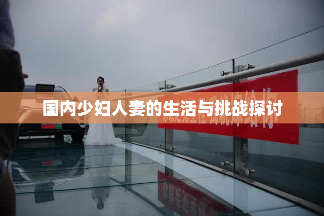 国内少妇人妻的生活与挑战探讨