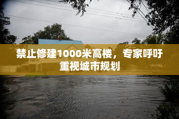 禁止修建1000米高楼，专家呼吁重视城市规划
