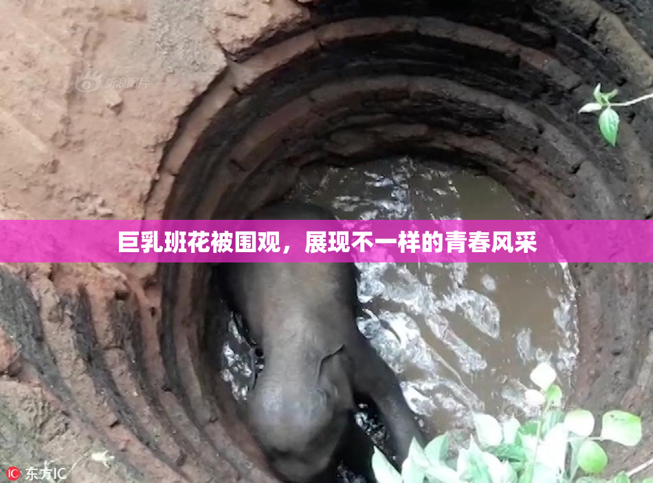 巨乳班花被围观，展现不一样的青春风采