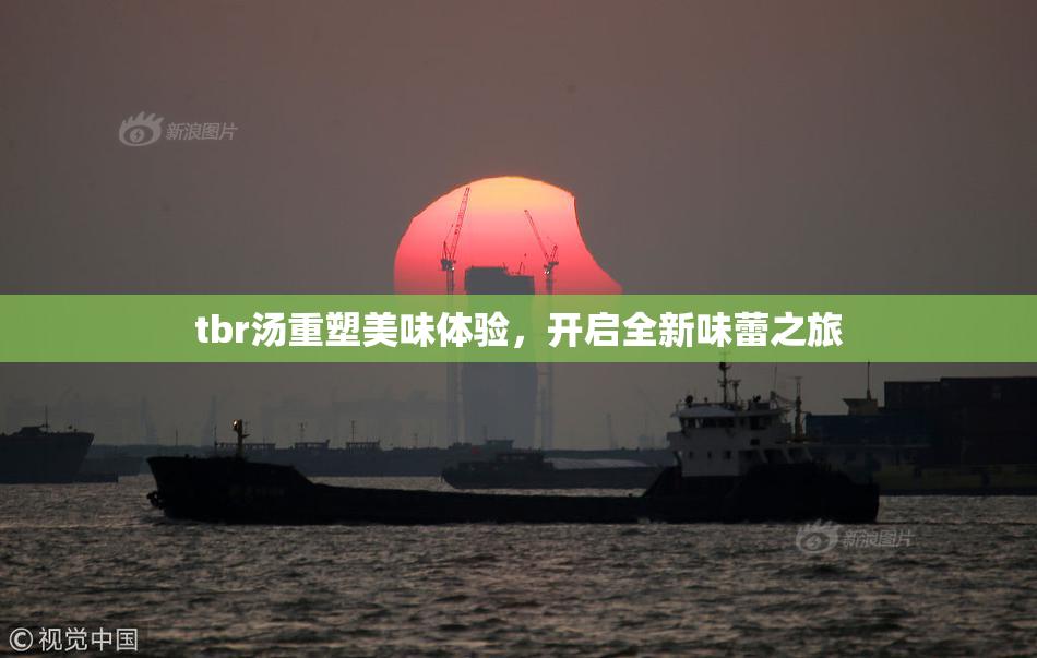 tbr汤重塑美味体验，开启全新味蕾之旅
