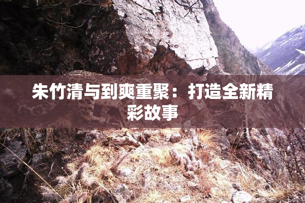 朱竹清与到爽重聚：打造全新精彩故事
