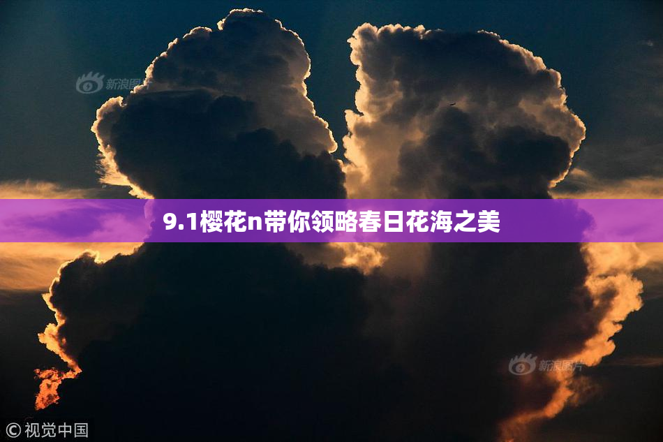 9.1樱花n带你领略春日花海之美