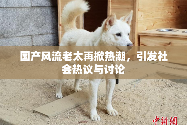 国产风流老太再掀热潮，引发社会热议与讨论