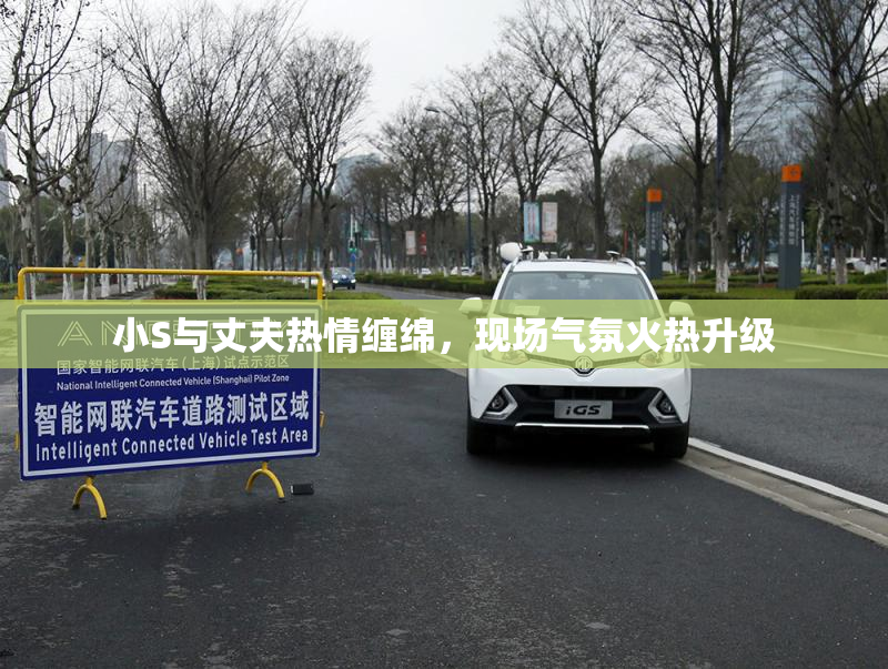 小S与丈夫热情缠绵，现场气氛火热升级