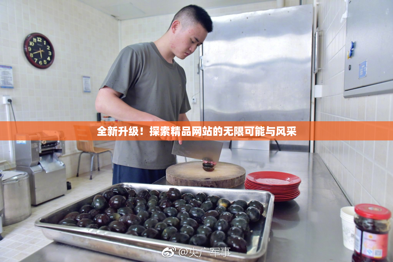 全新升级！探索精品网站的无限可能与风采