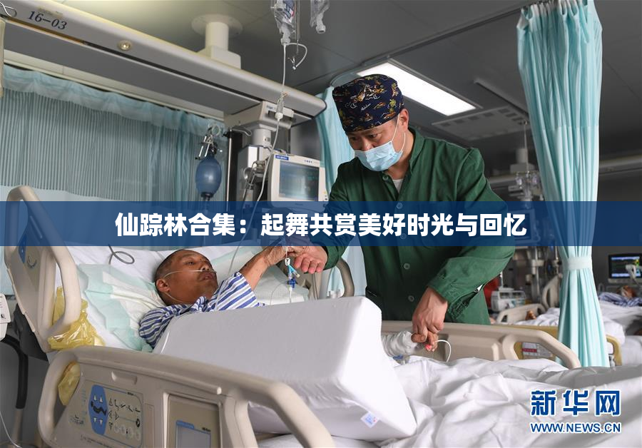 仙踪林合集：起舞共赏美好时光与回忆