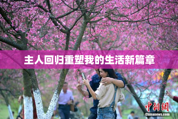 主人回归重塑我的生活新篇章