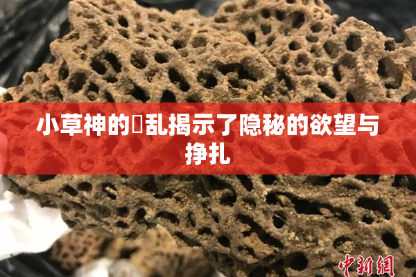 小草神的婬乱揭示了隐秘的欲望与挣扎