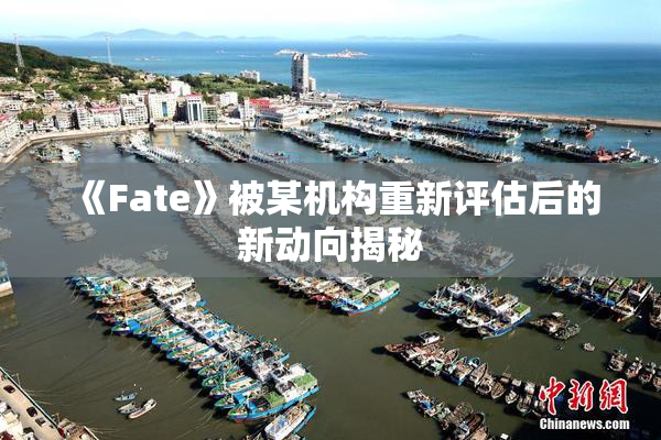 《Fate》被某机构重新评估后的新动向揭秘