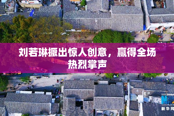刘若琳撅出惊人创意，赢得全场热烈掌声