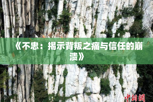 《不忠：揭示背叛之痛与信任的崩溃》