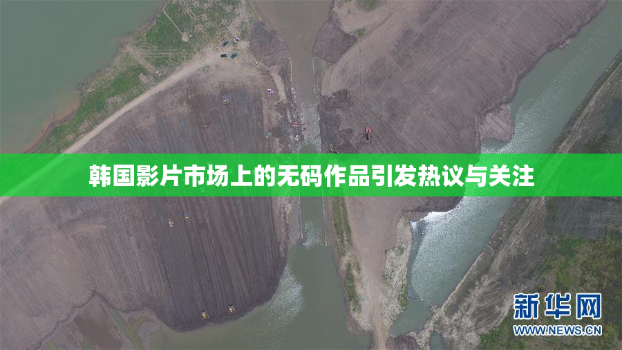 韩国影片市场上的无码作品引发热议与关注