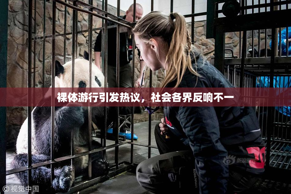 裸体游行引发热议，社会各界反响不一