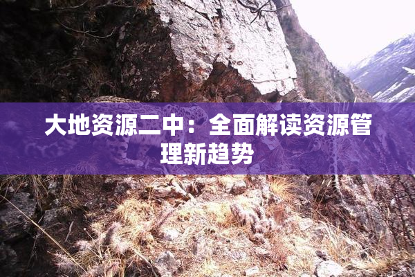 大地资源二中：全面解读资源管理新趋势