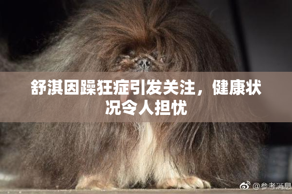 舒淇因躁狂症引发关注，健康状况令人担忧