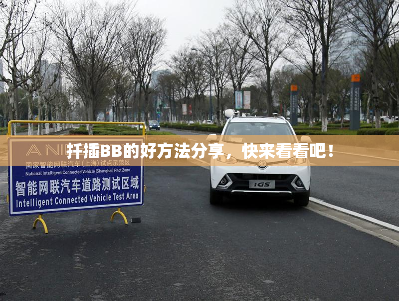 扦插BB的好方法分享，快来看看吧！