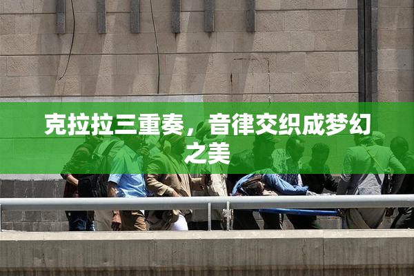 克拉拉三重奏，音律交织成梦幻之美