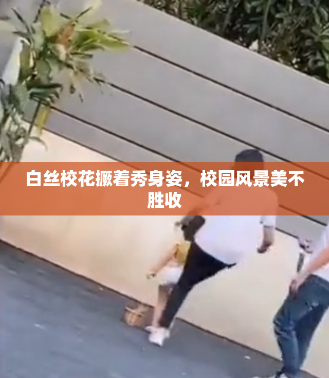 白丝校花撅着秀身姿，校园风景美不胜收