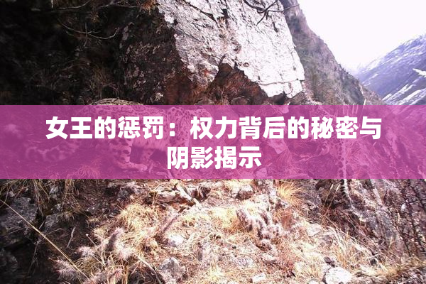 女王的惩罚：权力背后的秘密与阴影揭示