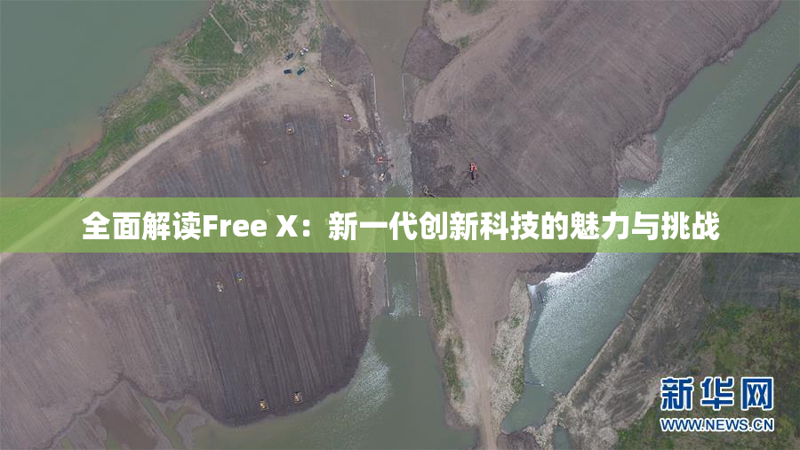 全面解读Free X：新一代创新科技的魅力与挑战