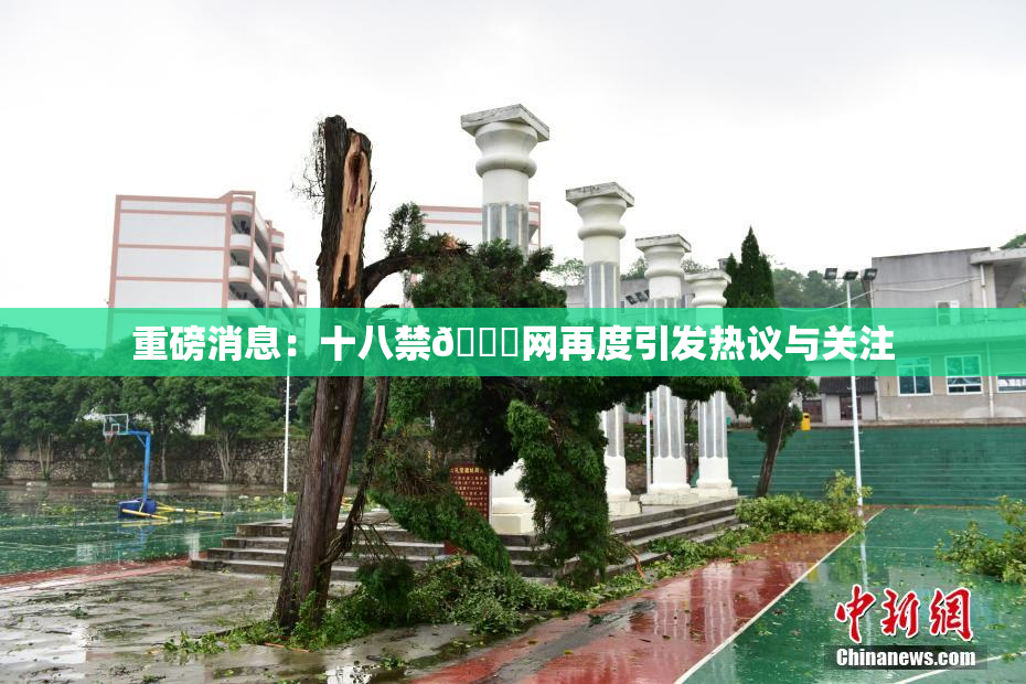 重磅消息：十八禁🔞网再度引发热议与关注