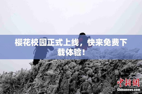 樱花校园正式上线，快来免费下载体验！
