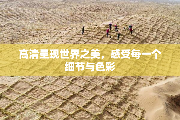 高清呈现世界之美，感受每一个细节与色彩