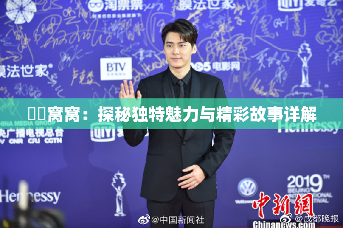 妺妺窝窝：探秘独特魅力与精彩故事详解