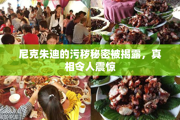 尼克朱迪的污秽秘密被揭露，真相令人震惊