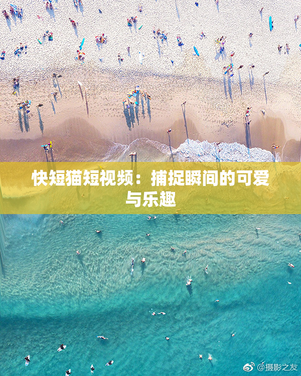 快短猫短视频：捕捉瞬间的可爱与乐趣