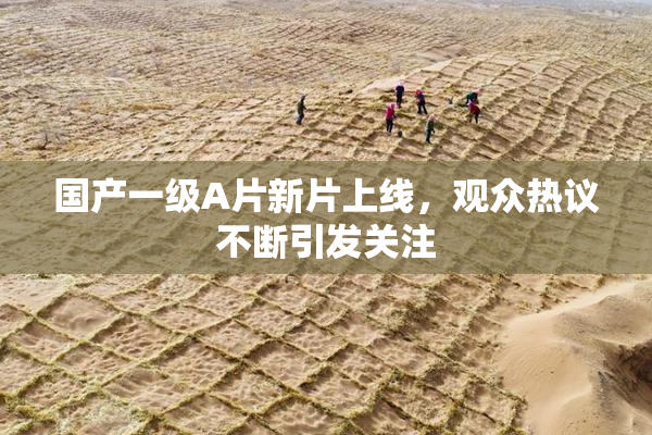 国产一级A片新片上线，观众热议不断引发关注