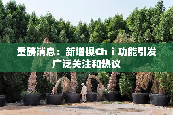重磅消息：新增搡Chⅰ功能引发广泛关注和热议