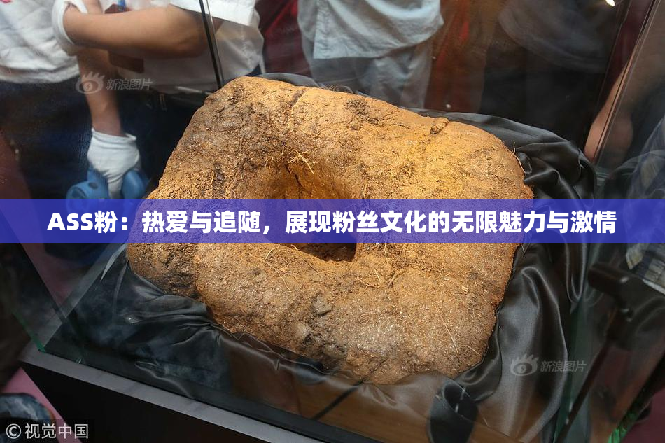 ASS粉：热爱与追随，展现粉丝文化的无限魅力与激情