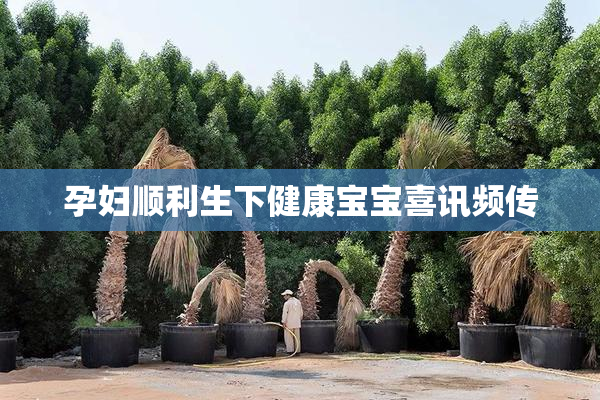 孕妇顺利生下健康宝宝喜讯频传